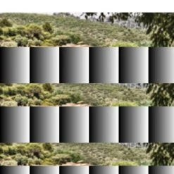 Service De Table Nature II (16 éléments) 5 Service De Table Nature II (16 éléments) -Cuisine Ustensiles Magasin 1000281580 210805 15431800019 MOOD DETAILS P000000001000281580 mood