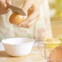 Boîte 12 Oeufs, Réfrigérateur 15 Boîte 12 Oeufs, Réfrigérateur -Cuisine Ustensiles Magasin a5aafcbac4ff4ab9a77724057fd381bb