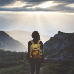 Gourde Inox Bouteille Eau Verte Lot De 3 -Cuisine Ustensiles Magasin b7f28389cc304cf7a6b8e822ec9986fc 1