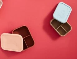 Boîte à Déjeuner Rose -Cuisine Ustensiles Magasin b86381d9582f48e4833bbbf551556015